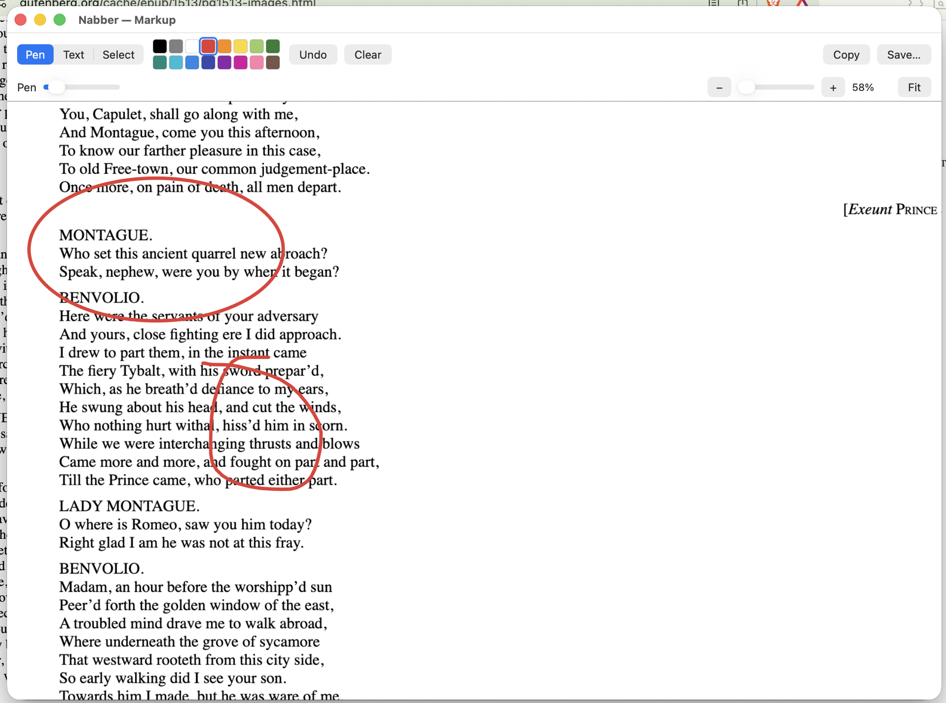 Nabber markup editor — pen, color palette, and QuickShape circles over a captured page
