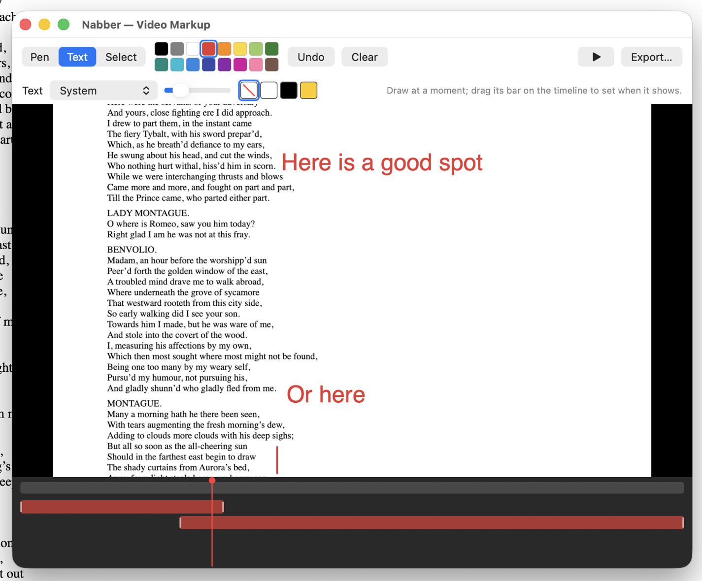 Nabber video markup — time-ranged annotations on a timeline with an Export button